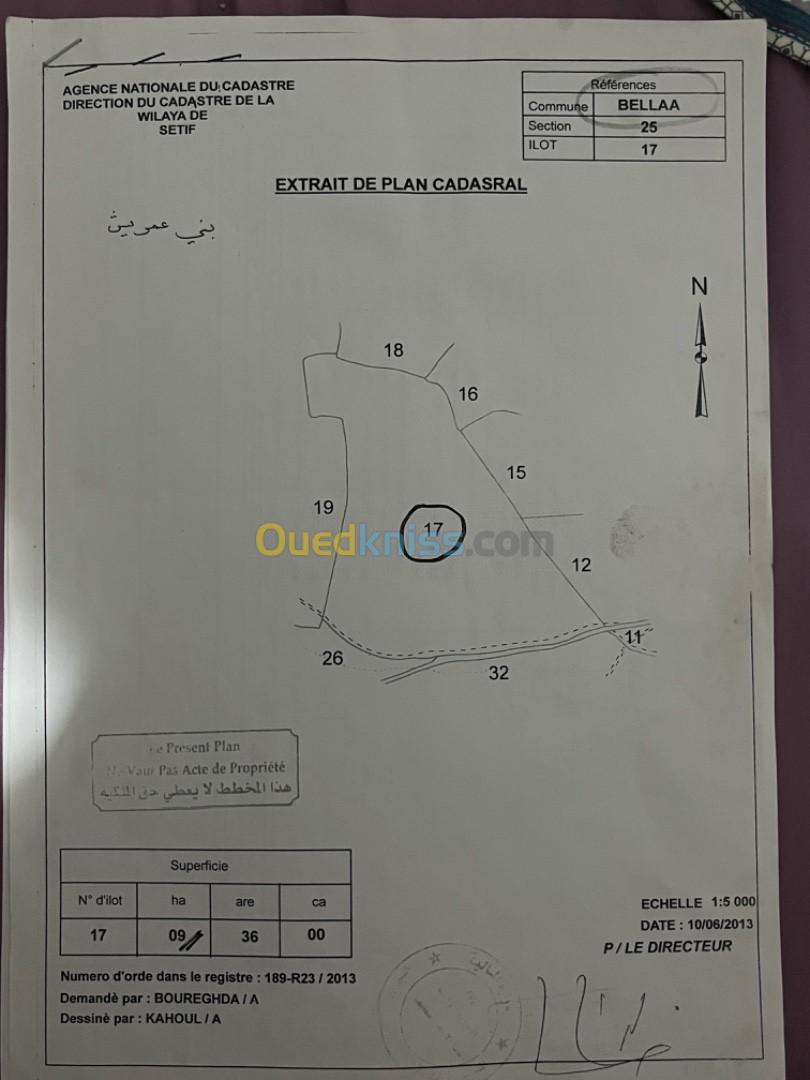 Vente Terrain Sétif Belaa