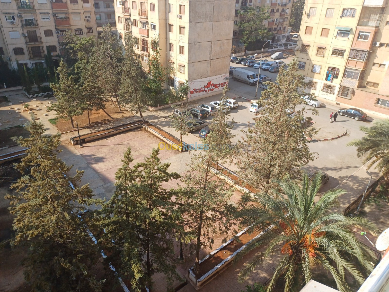 Vente Appartement F4 Alger Les eucalyptus