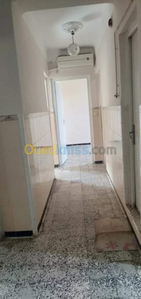 Vente Appartement F3 Bouira Bechloul