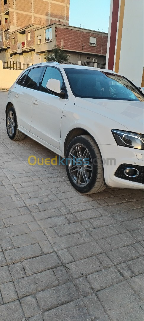 Audi Q5 2011 S Line Pack Tech