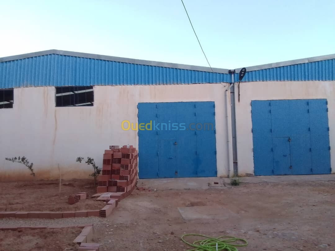 Location Hangar Biskra Biskra