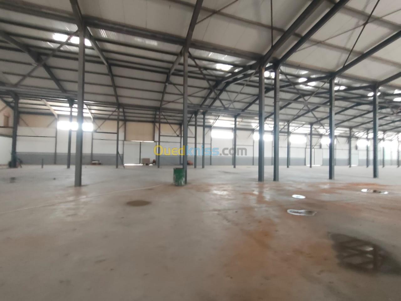 Location Hangar Oran Hassi ben okba