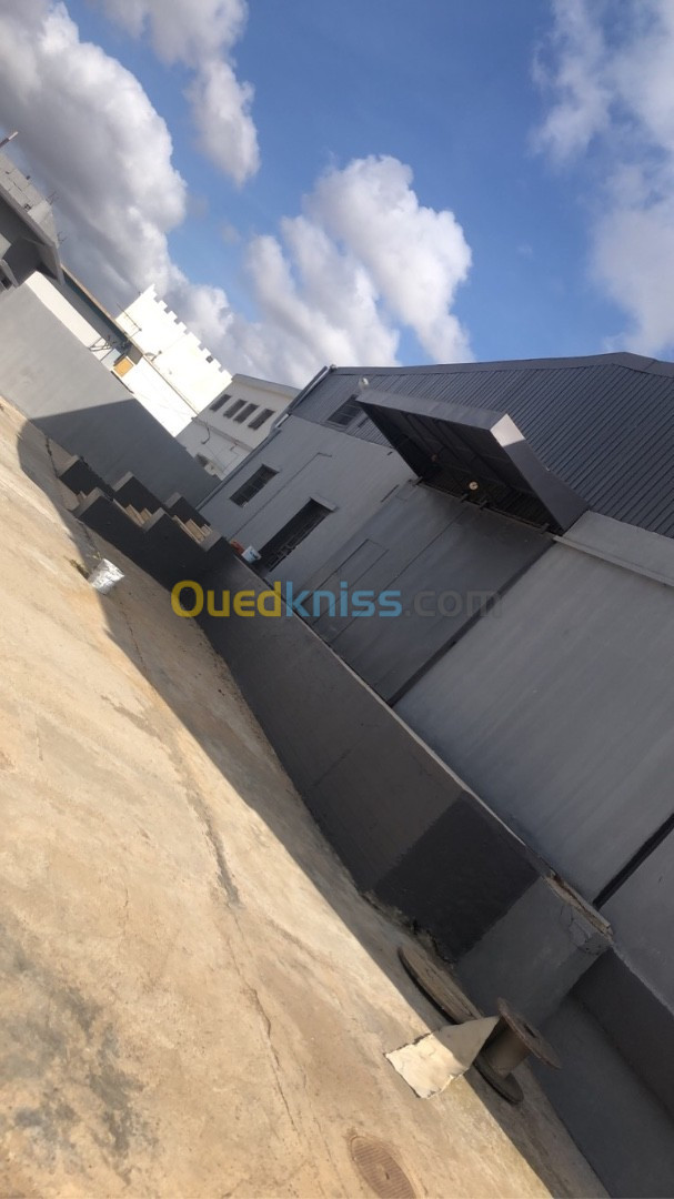 Vente Hangar Oran Oued tlelat