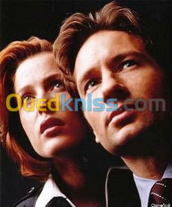 X-Files : Aux frontières du Réel .