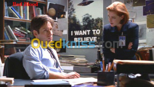 X-Files : Aux frontières du Réel .