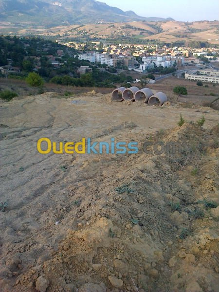 Vente Terrain Tipaza Sidi amar