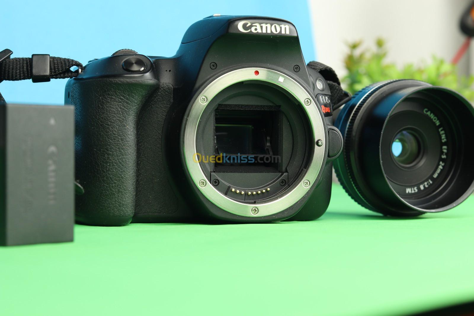 Canon 200D + 24mm