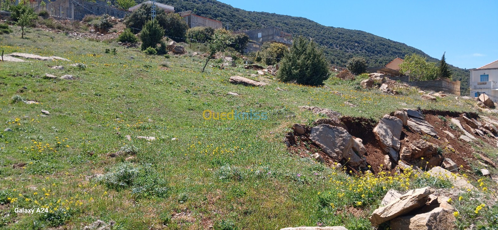 Vente Terrain Sétif Harbil