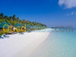 Iles Maldives - Meeru Maldives Resort Island 4* 