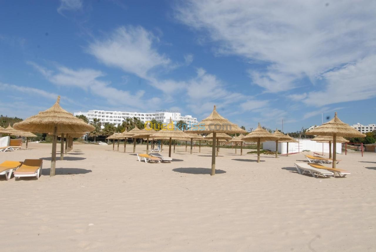 Tunisie Par Bus - Hammamet -