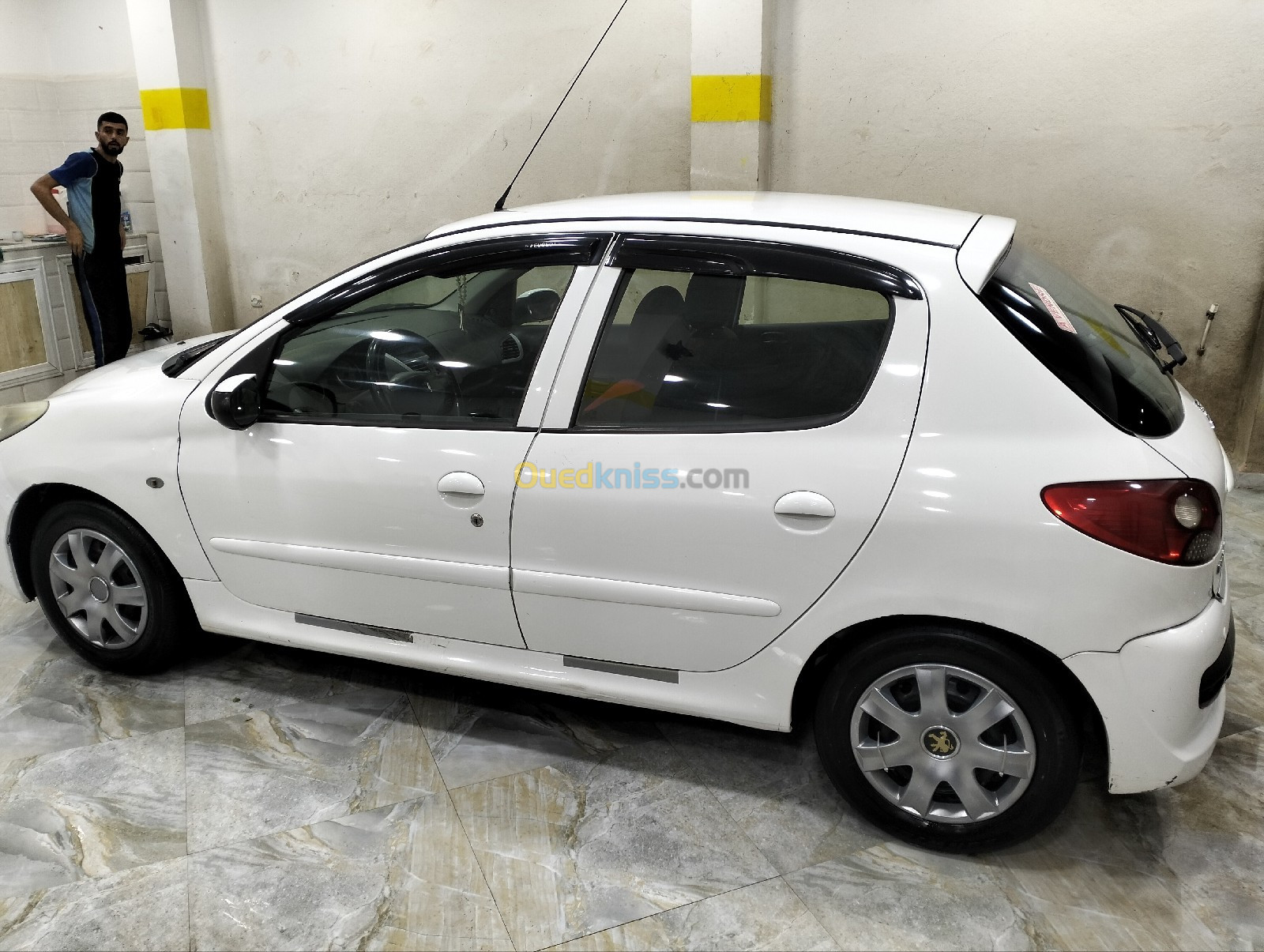 Peugeot 206 Plus 2011 Base clime