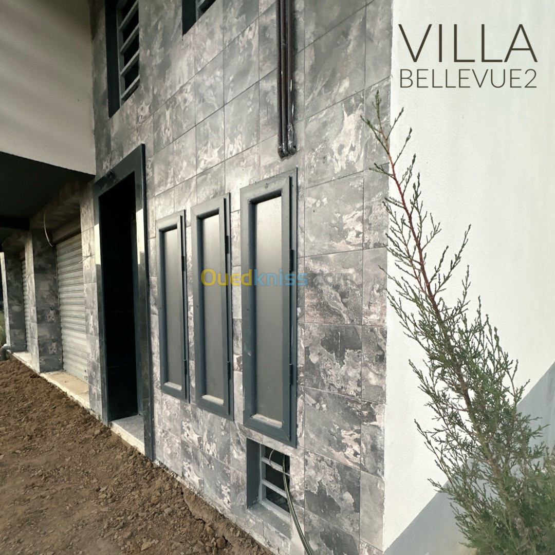 Vente Villa Alger Birtouta