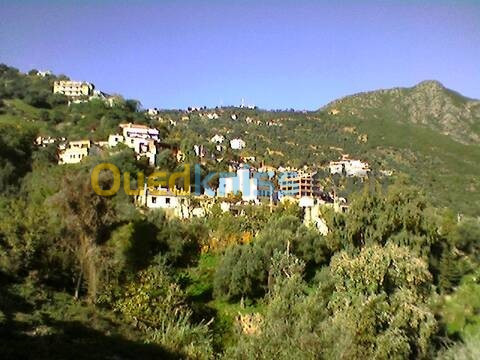 Vente Terrain Bejaia Aokas