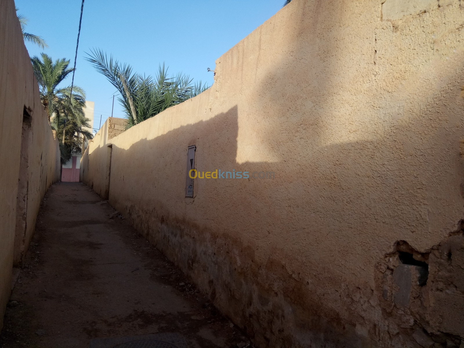 Vente Terrain Ghardaïa Ghardaia