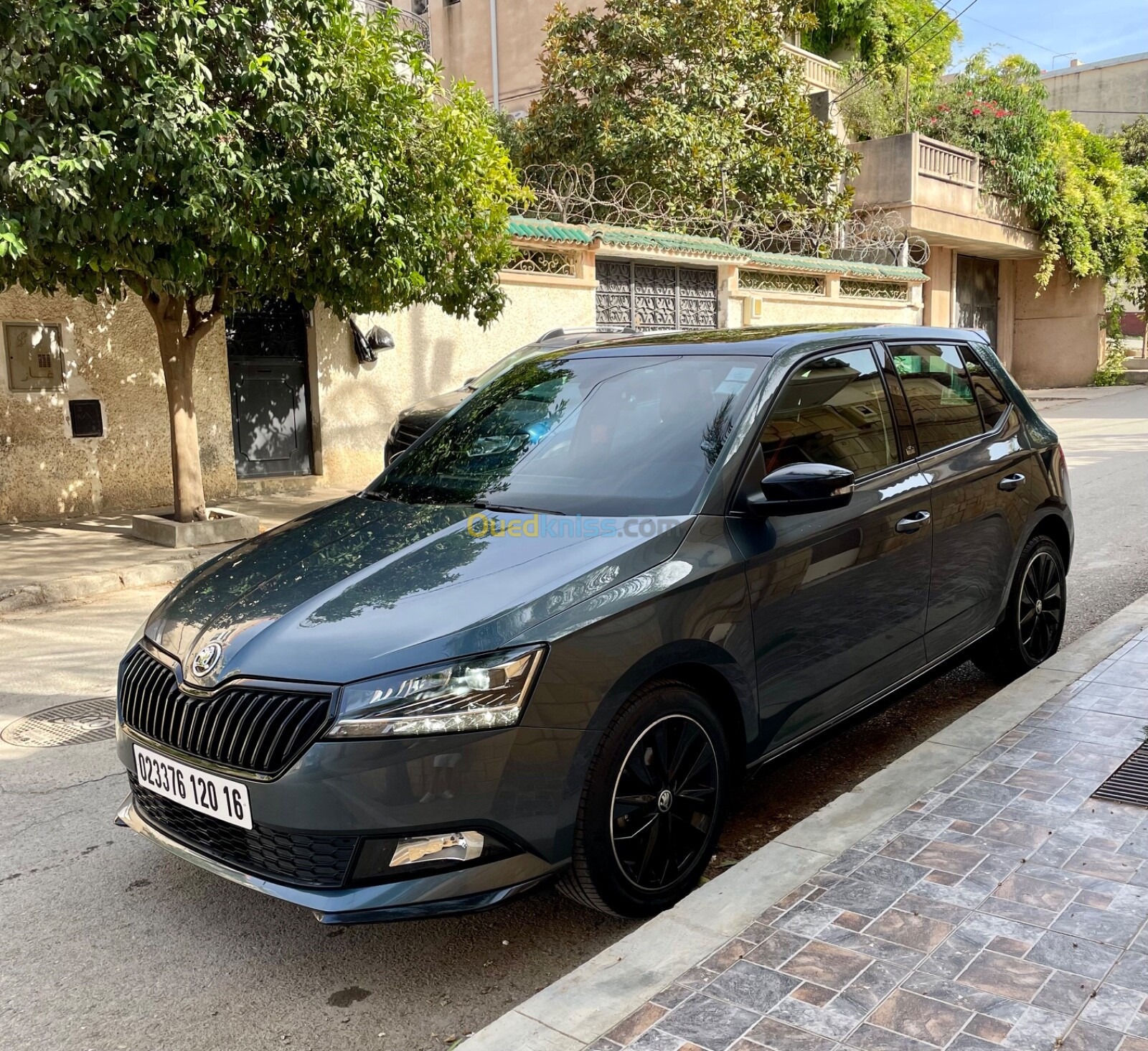 Skoda Fabia 2020 Monte Carlo