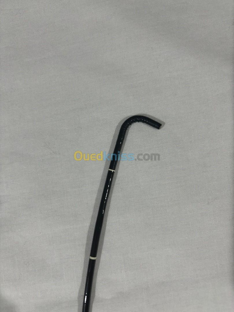 Endoscope Olympus ENF-GP