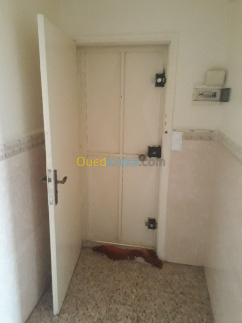 Vente Appartement F3 Alger Bab ezzouar