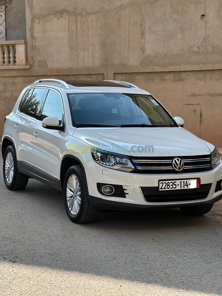 Volkswagen Tiguan 2014 Cup