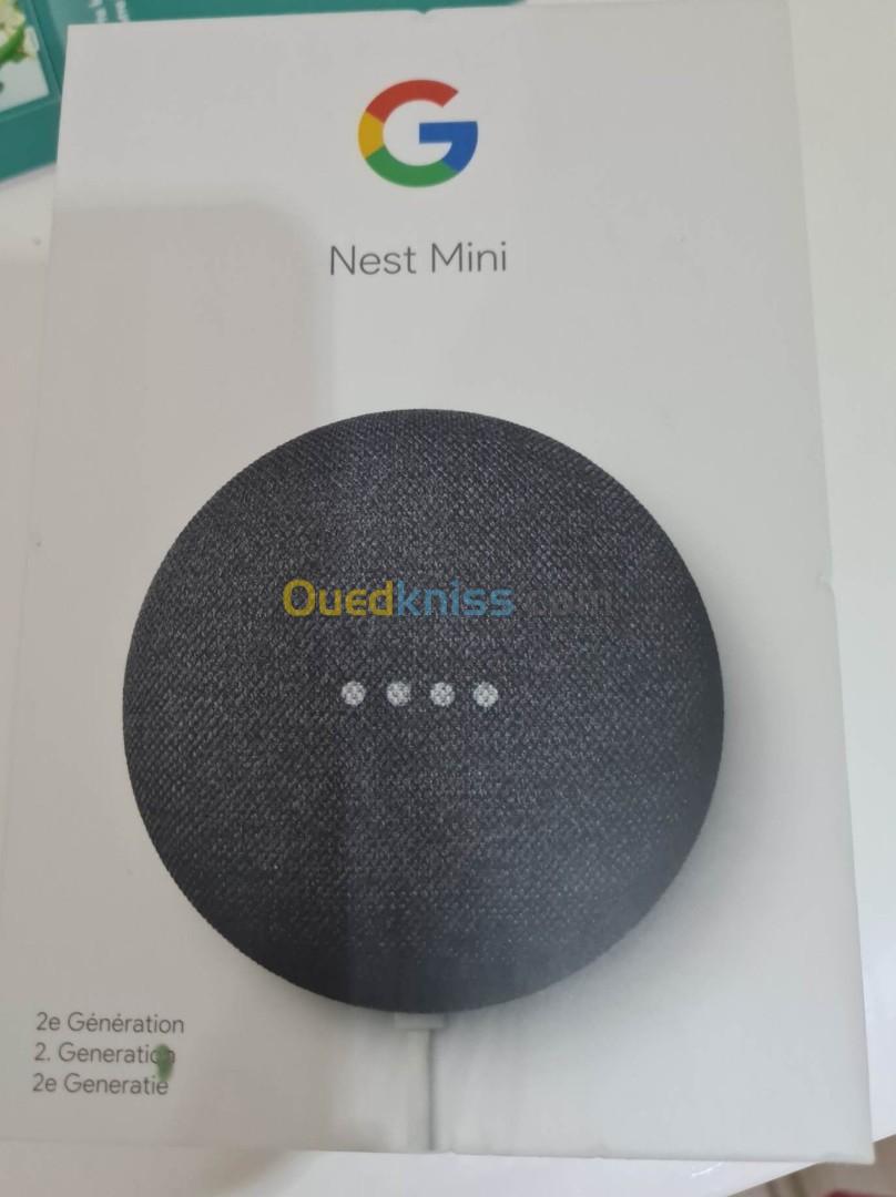 Enceinte Bluetooth Google Nest Mini (2nd Gen) Gris