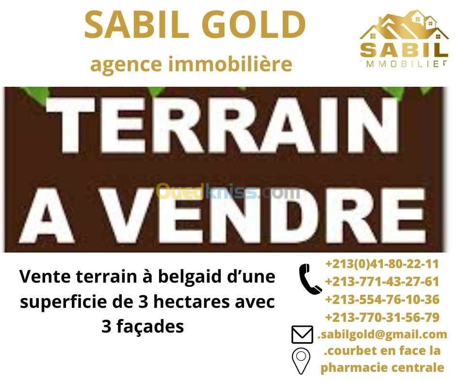 Vente Terrain Oran Oran