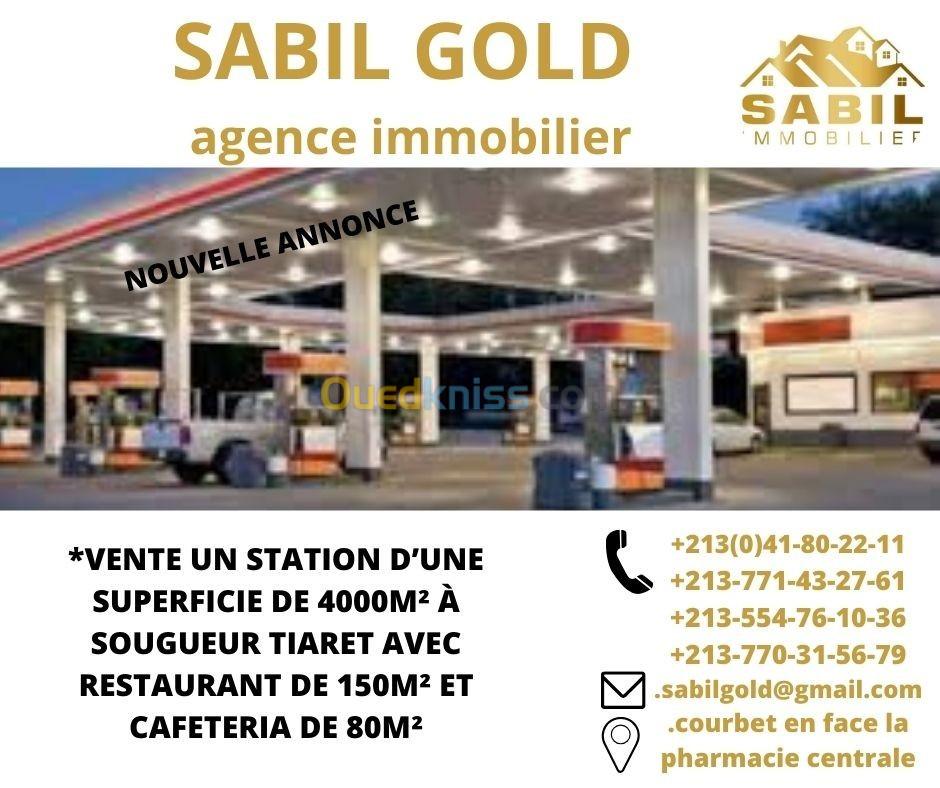 Vente bien immobilier Tiaret Sougueur