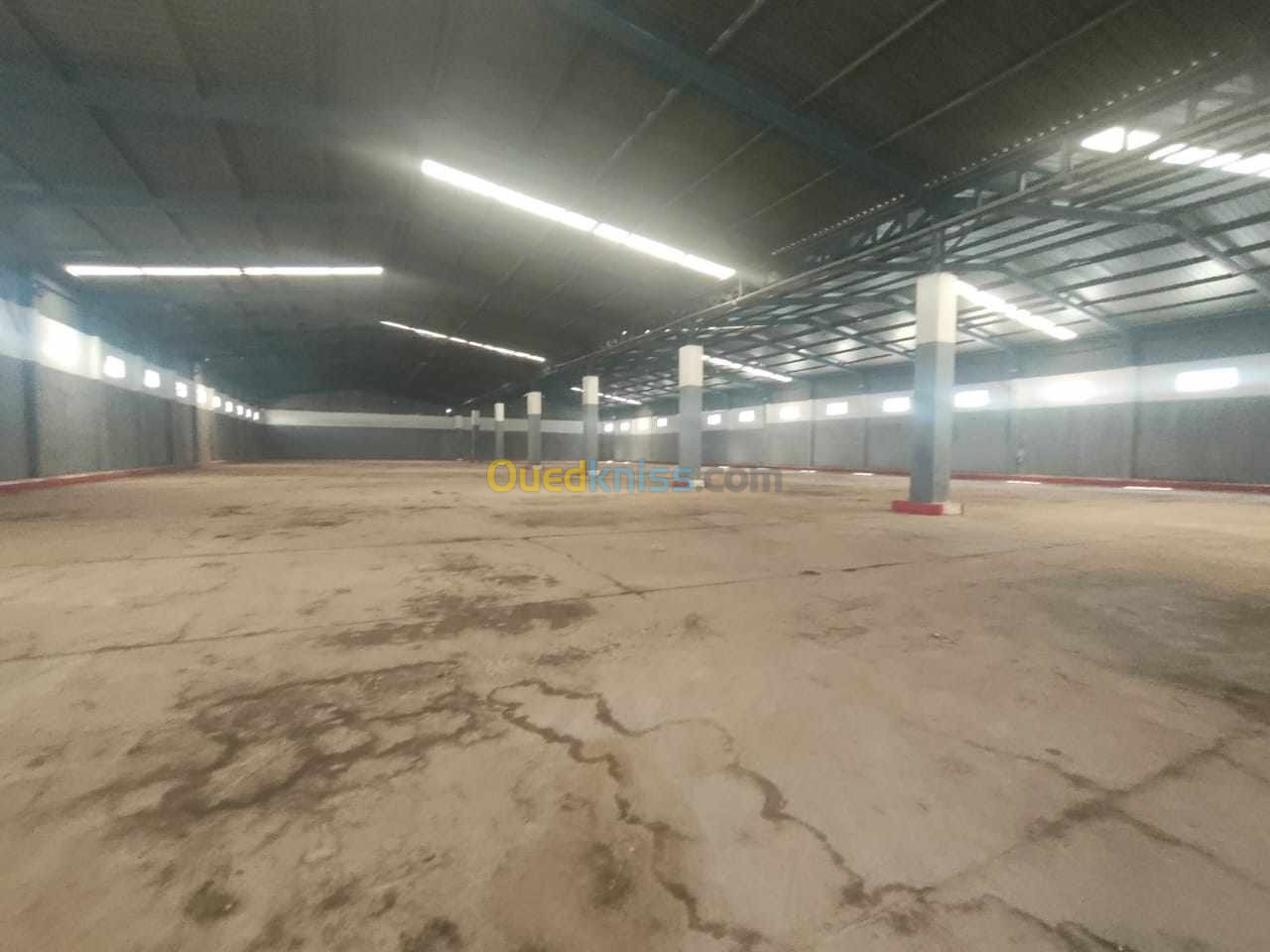 Location Usine Oran Oran