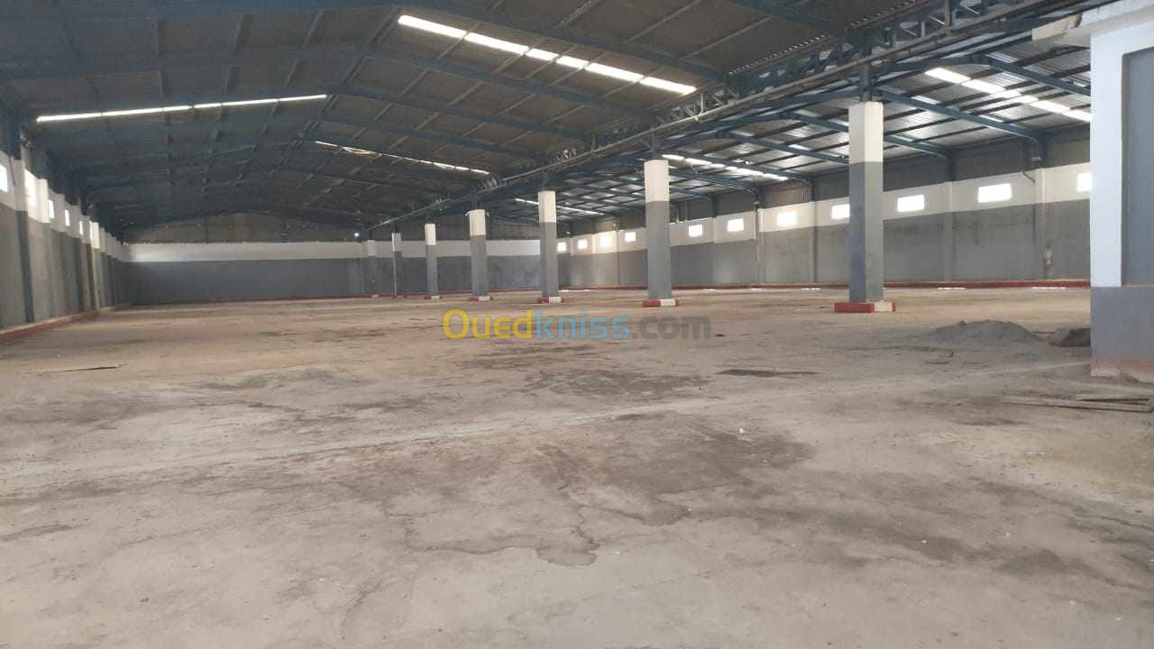 Location Usine Oran Oran