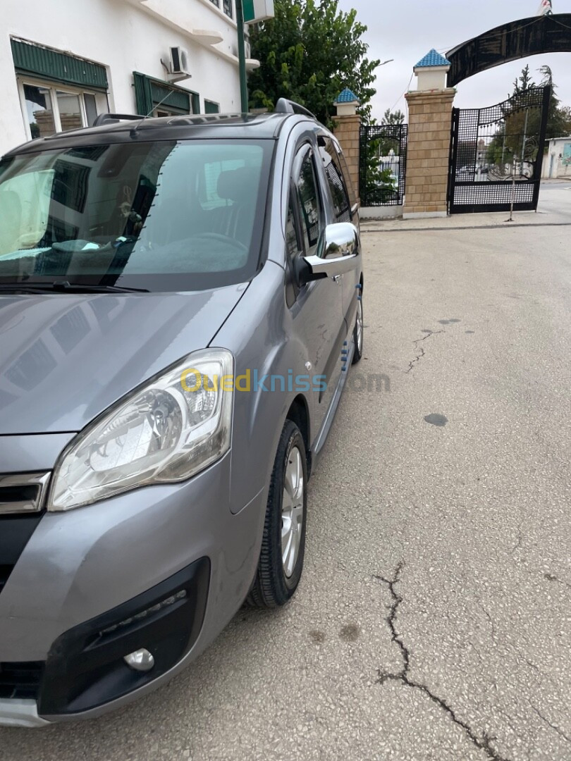 Citroen Berlingo 2018 Berlingo