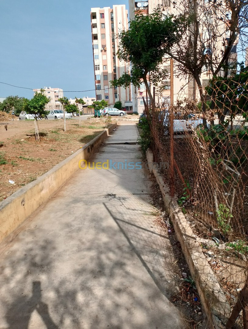 Location Appartement F3 Alger Ain benian