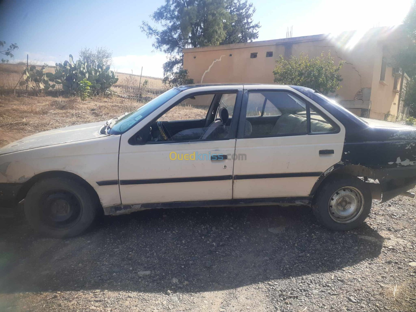 Peugeot 405 1989 405