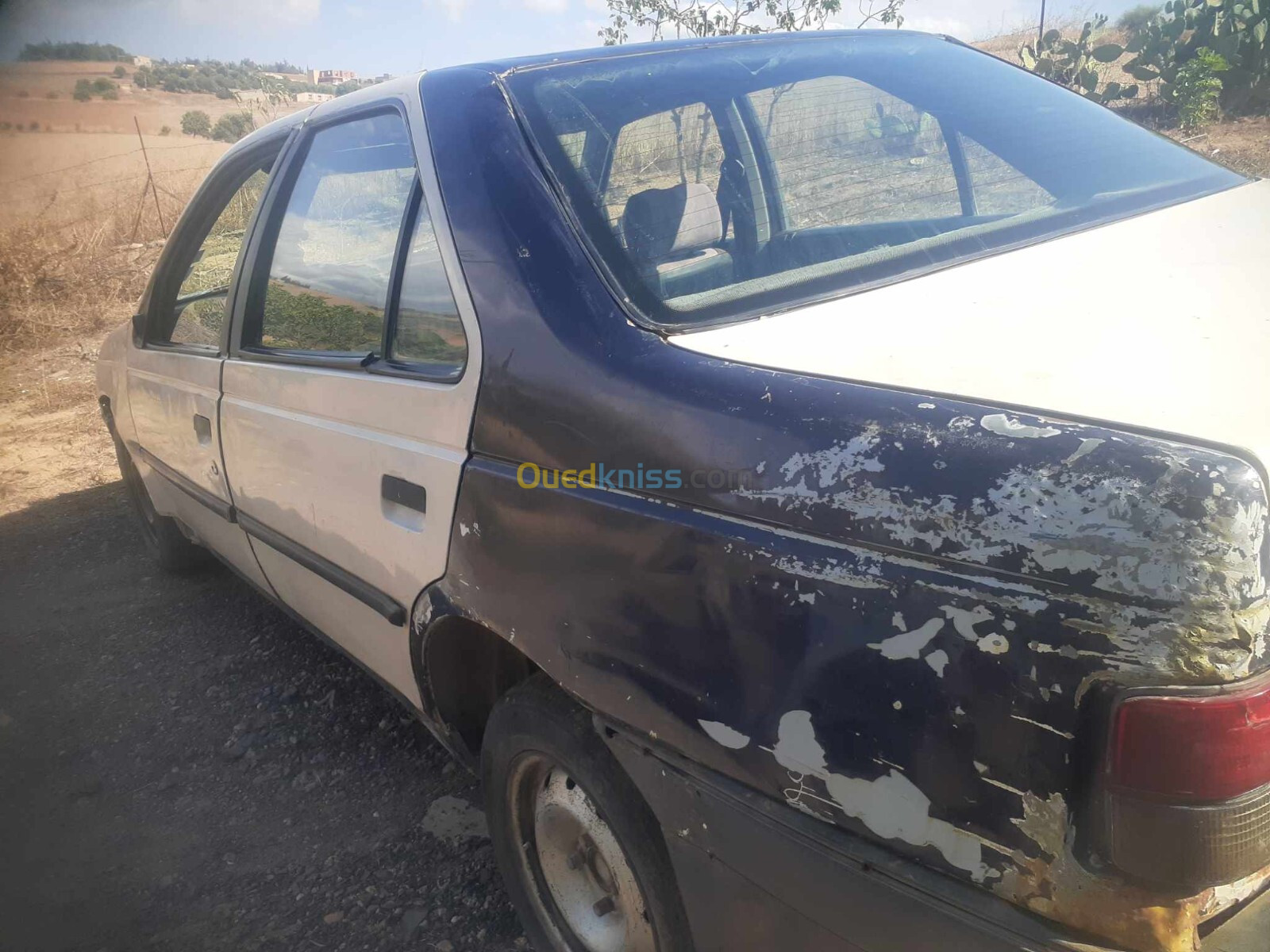 Peugeot 405 1989 405