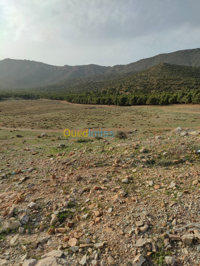 Vente Terrain Batna Batna