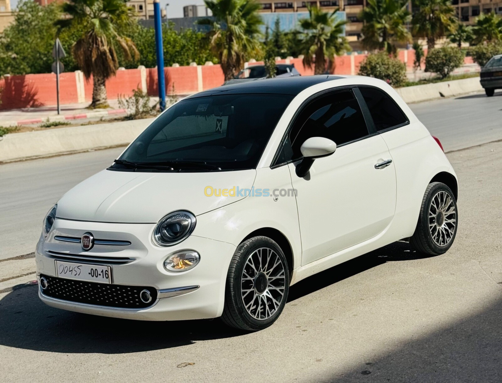 Fiat 500 2023 500