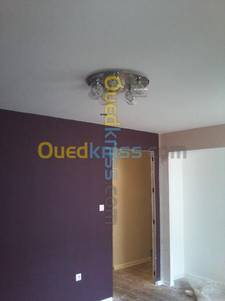   travaux  peinture deco +placo b 13