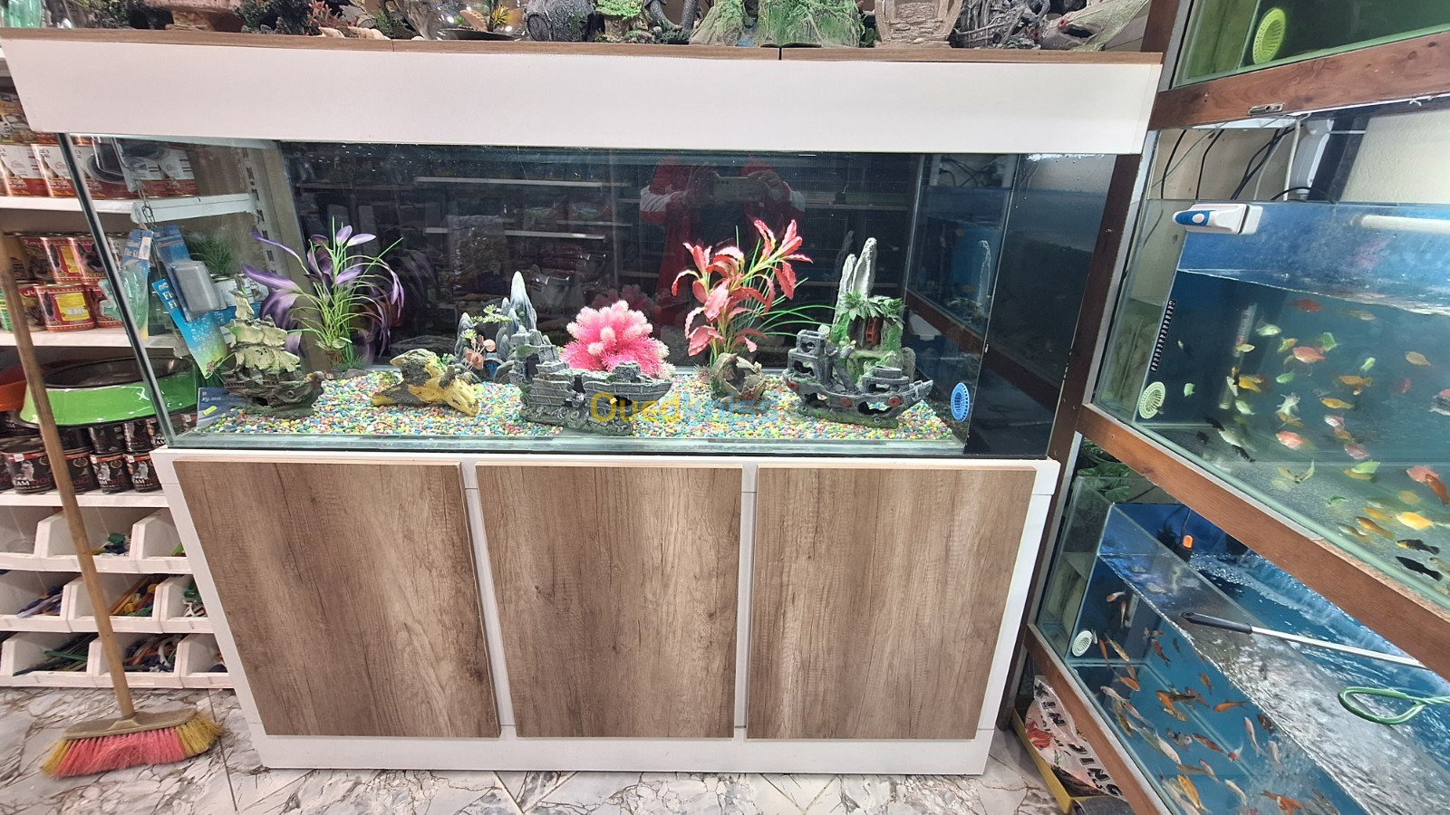 Aquarium 