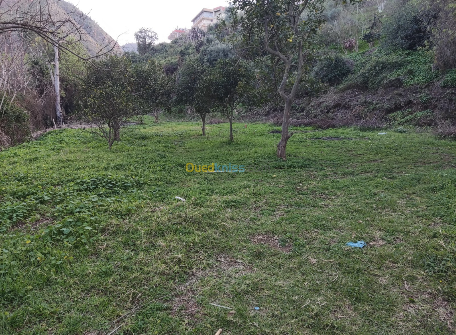 Vente Terrain Bejaia Tichy