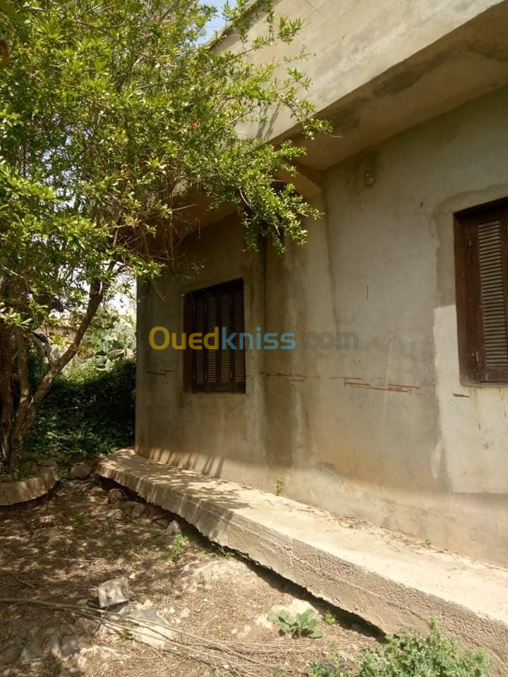 Vente Niveau De Villa F5 Ain temouchent Oulhaca el gheraba