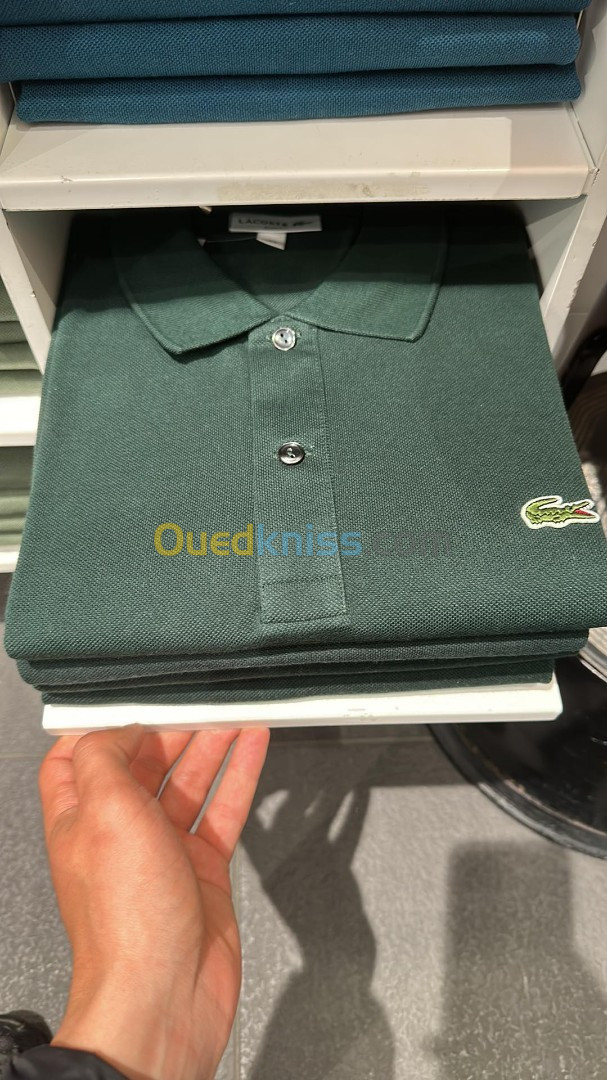 Polo Lacoste Original UK Collection 2023 