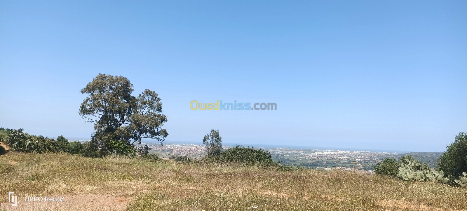 Vente Terrain Boumerdès Ouled moussa