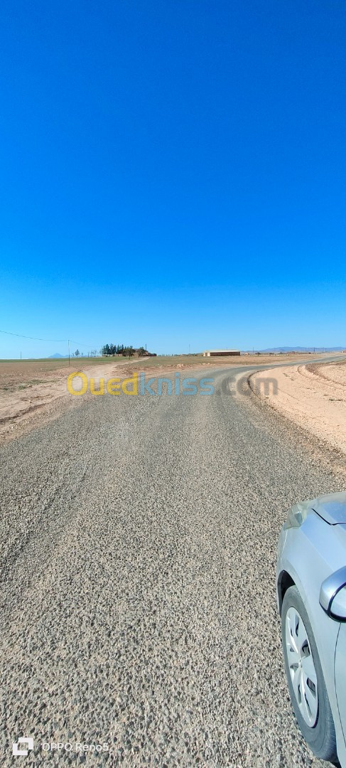 Vente Terrain Agricole Tiaret Hamadia