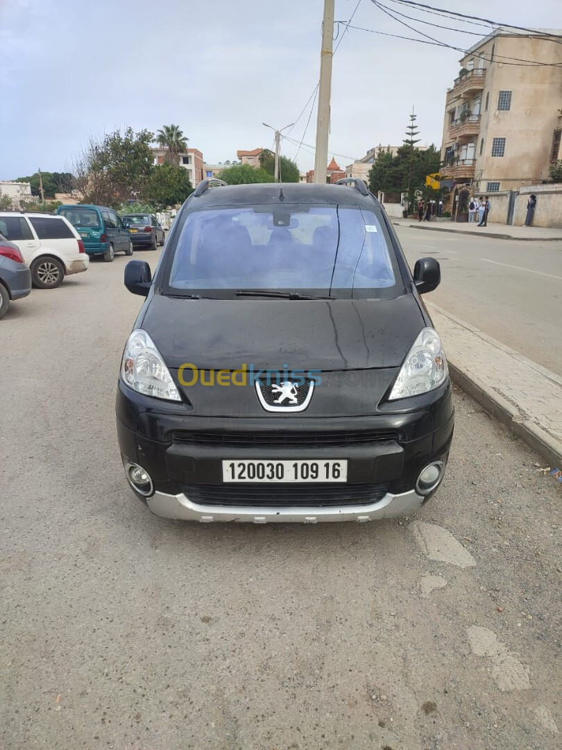 Peugeot Partner 2009 Tepee