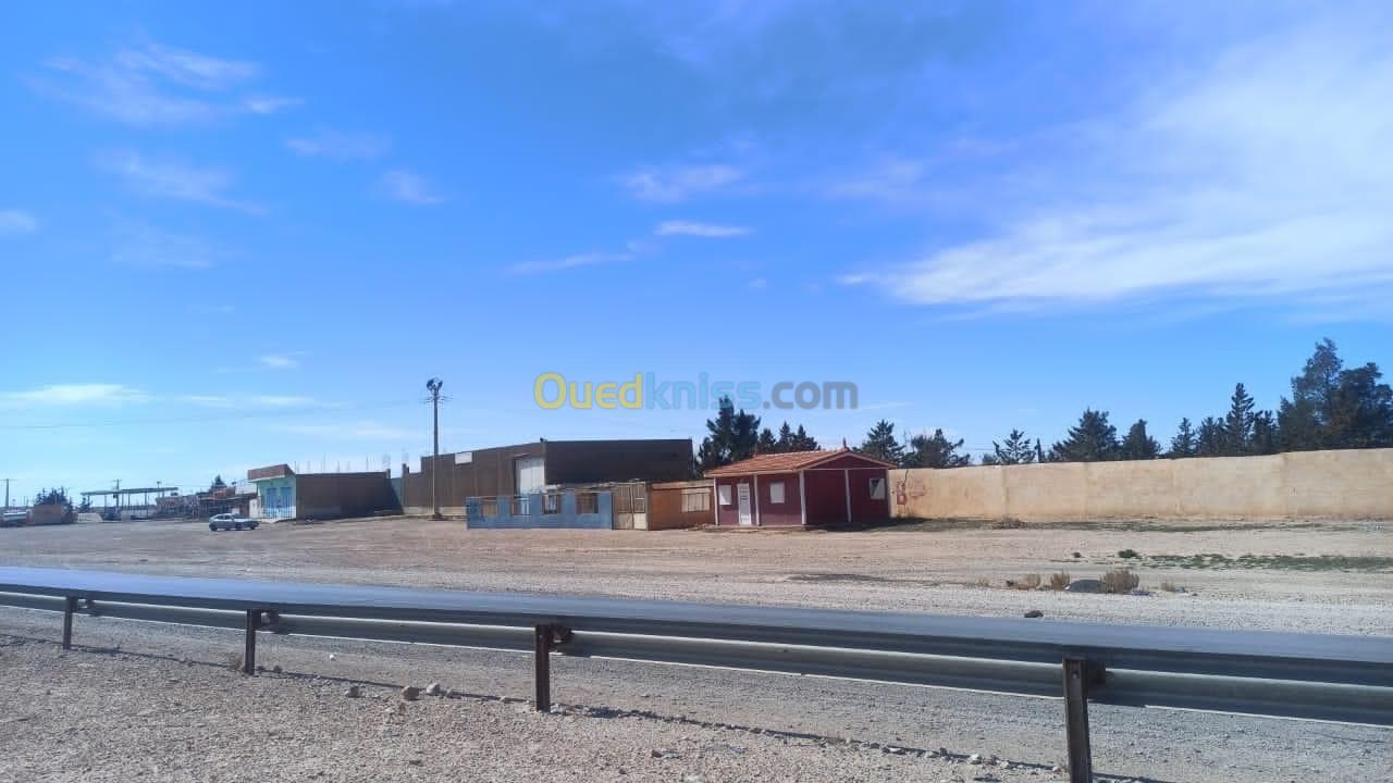 Sell Farmland Djelfa Djelfa