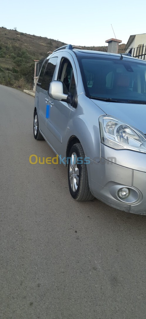 Citroen Berlingo 2009 Tolé niveau 2