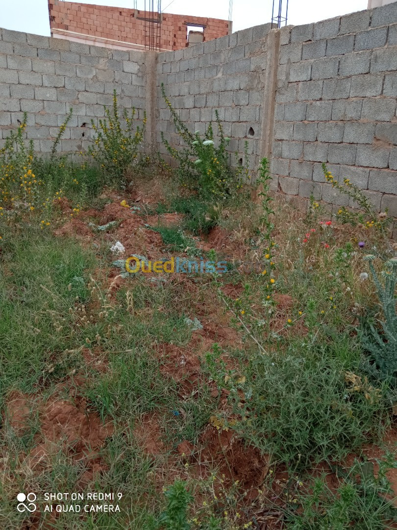 Vente Terrain Mostaganem Sidi ali