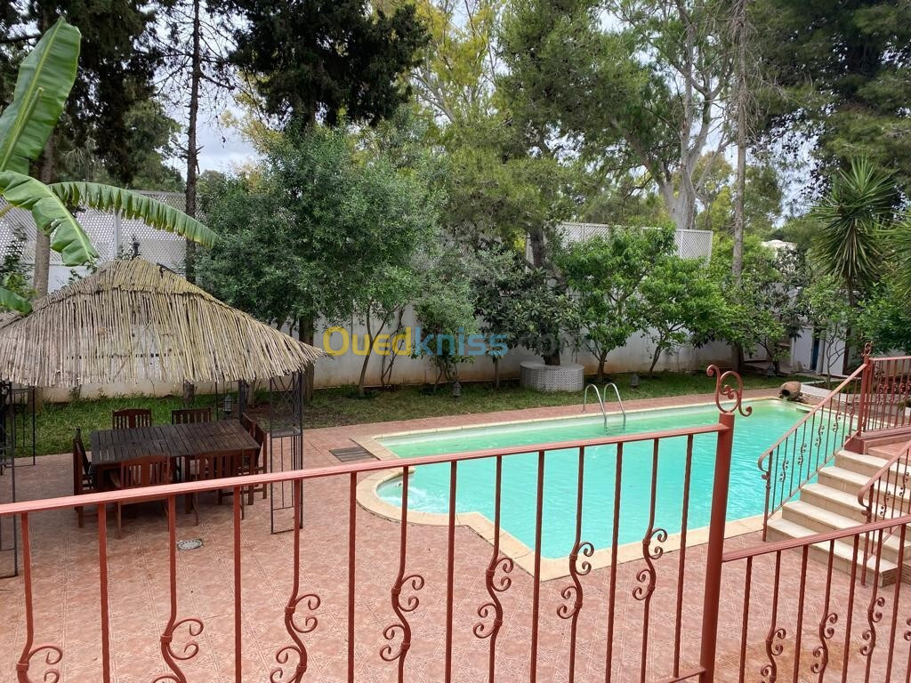 Location Villa Alger Said hamdine