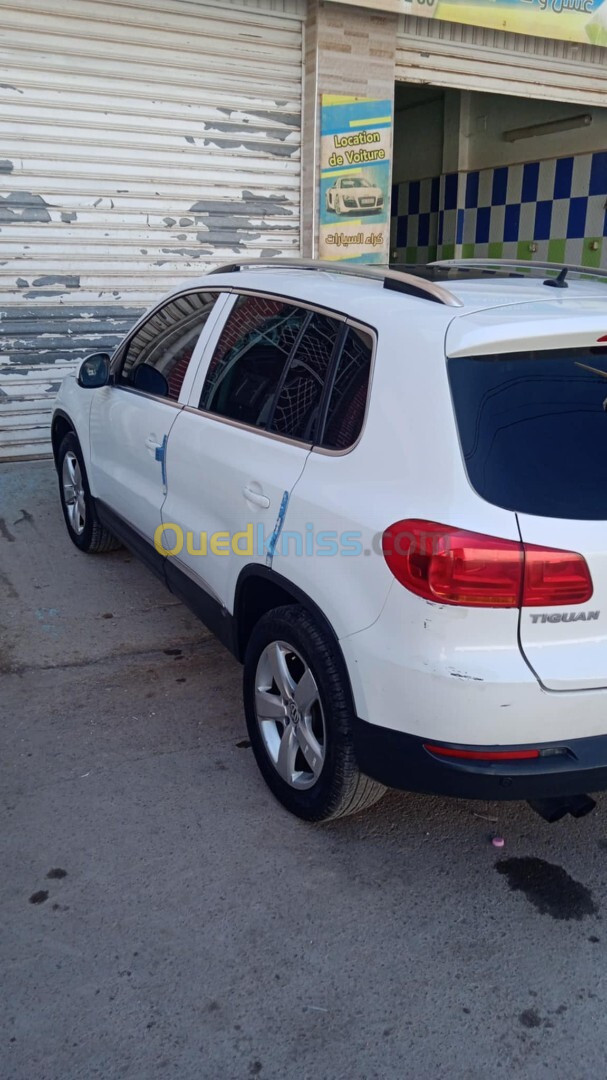 Volkswagen Tiguan 2014 Cup