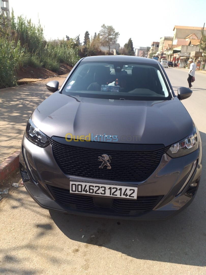 Peugeot 2008 2021 Active