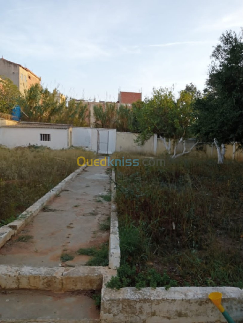 Vente Terrain Alger Birkhadem