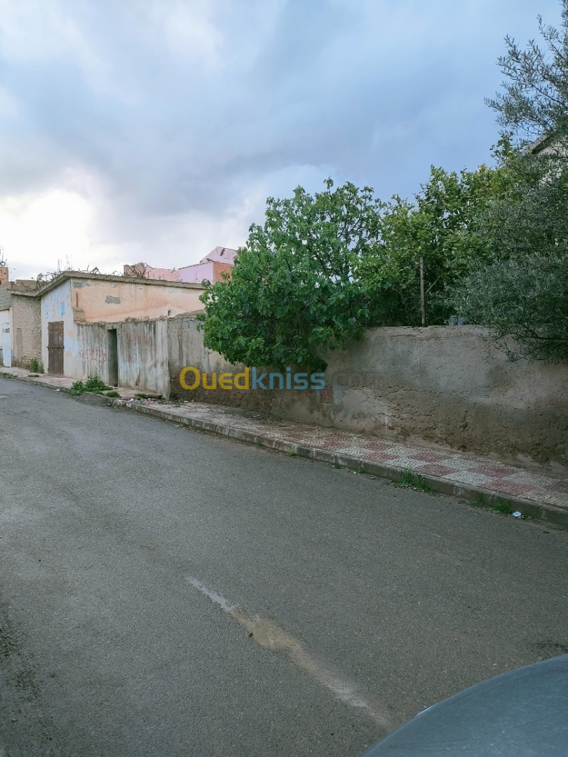 Vente Terrain Sidi Bel Abbès Mostefa ben brahim