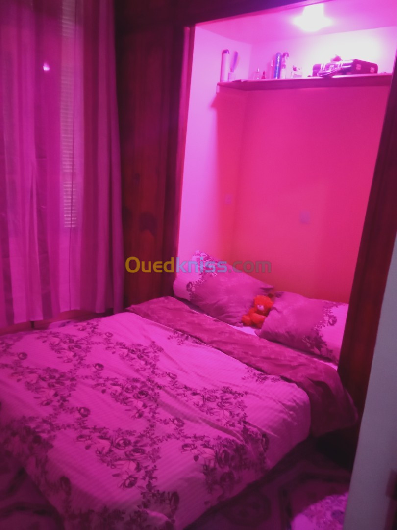 Location Appartement F2 Alger Bab el oued